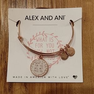 Alex and Ani +energy bracelet